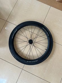 Shimano Dura Ace C50 Rear Wheel Set - 2024 Model