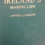 Ireland's Marine Life Image 2