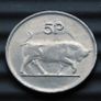 Ireland 1986 5P ERROR (errors)  Irish coin Image 2