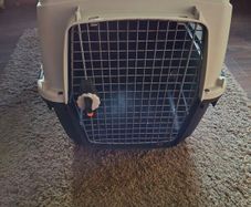 Dog Travel Crate
