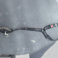 Dog seat belt