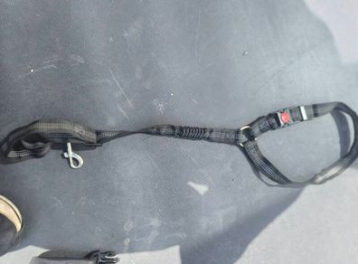 Dog seat belt