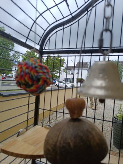 parrot cage for sale