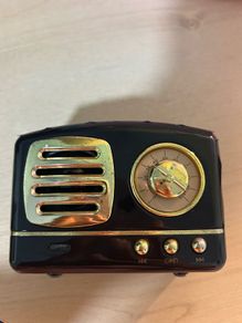 Small speaker (micro-USB charging)