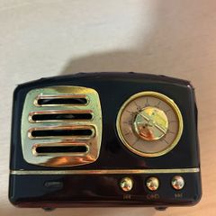 Small speaker (micro-USB charging)