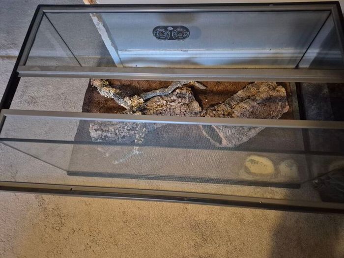 Reptile Vivarium
