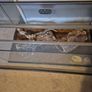 Reptile Vivarium Image 2