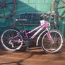 Bike Image 5