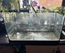 Fish Tank- Priced for quick sale