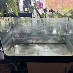 Fish Tank- Priced for quick sale