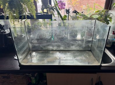 Fish Tank- Priced for quick sale