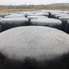 Haylage