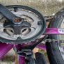 Ladies Bike Image 3