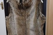Warehouse Gilet