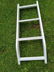bunk bed ladder