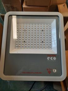 Thorn Floodlight