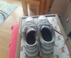 Nike Dunks