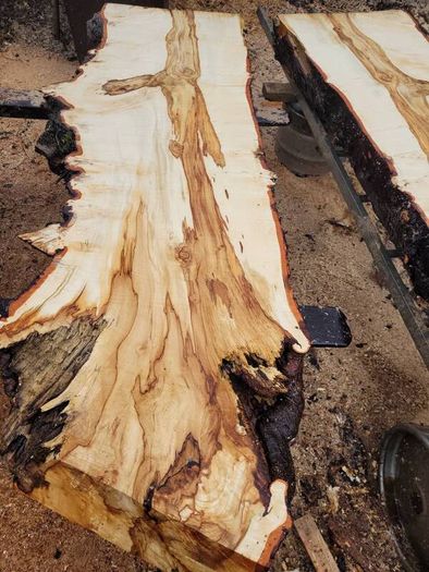Hardwood timber