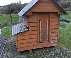 Hen House