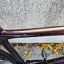 Giant FastRoad SL 1 (Size Large) Image 5