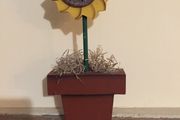 Sunflower 10" high &amp; sunflower seeds