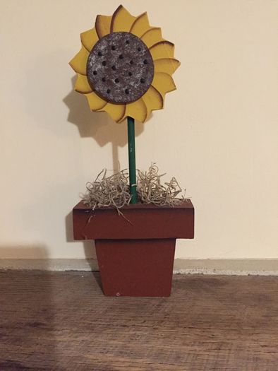 Sunflower 10" high & sunflower seeds