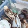 box of collectable Image 7
