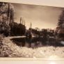 Framed Phoenix Park Photograph Large Image 2
