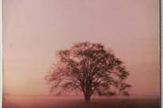 Phil Coulter Serenity LP