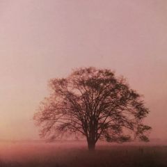 Phil Coulter Serenity LP