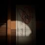 Amalio Burguet 2M (Cedar top) Classical Guitar Image 3