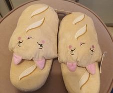 BNWT slippers