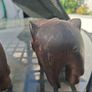 Lovely pair of Vintage Solid Rosewood Wooden Hand Carved Elephants Image 10