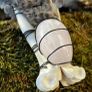 Incredibly Healing Spiritual Smudge Wand Taxidermy Wings Bone Art and Rose Quartz Crystal Wall Decor Display Image 3