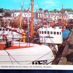 Dollard Postcard. No. 442. Killybegs, Co. Donegal, Ireland.