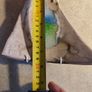 Blue Green Aqua Ocean and Beige sandy Ceramic Art Triangles Wall Hanging Image 7