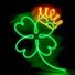 THE IRISHMAN