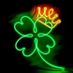 THE IRISHMAN