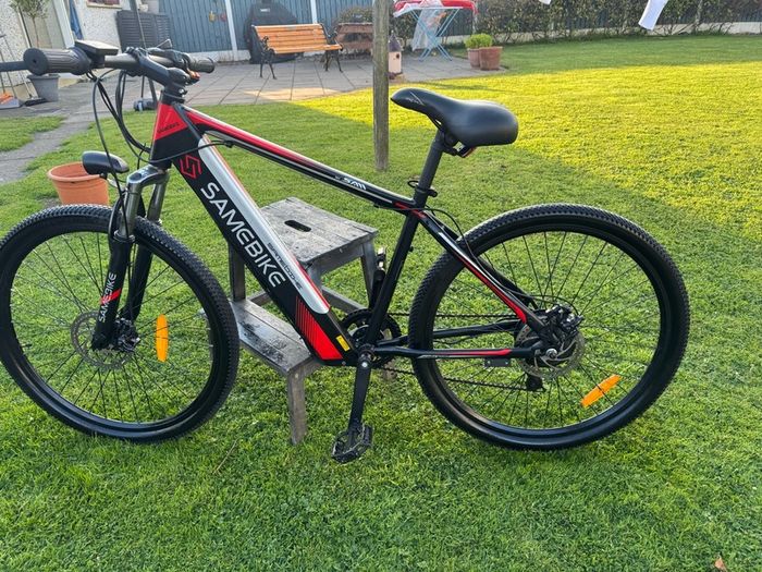 e bike