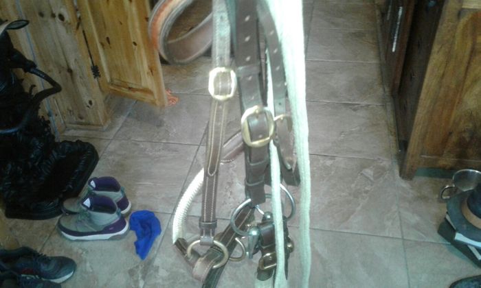 Bridle /bitless