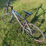 Lapierre hybrid bicycle Image 2