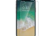REMAX Fairy series Tempered Glass GL-29 For iPhone X