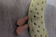 Jellycat Pickle Brand New