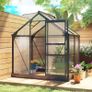 Walk-In Polycarbonate Green House 6 x 4ft Image 7
