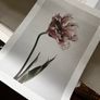 Desenio artwork print sets Image 7