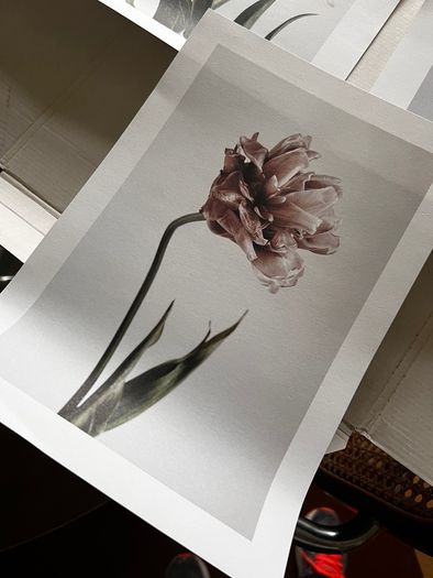 Desenio artwork print sets