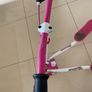 Flicker Image 2