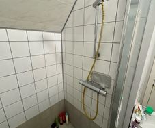 shower rail, thermostatic mixer and water saving shower head
