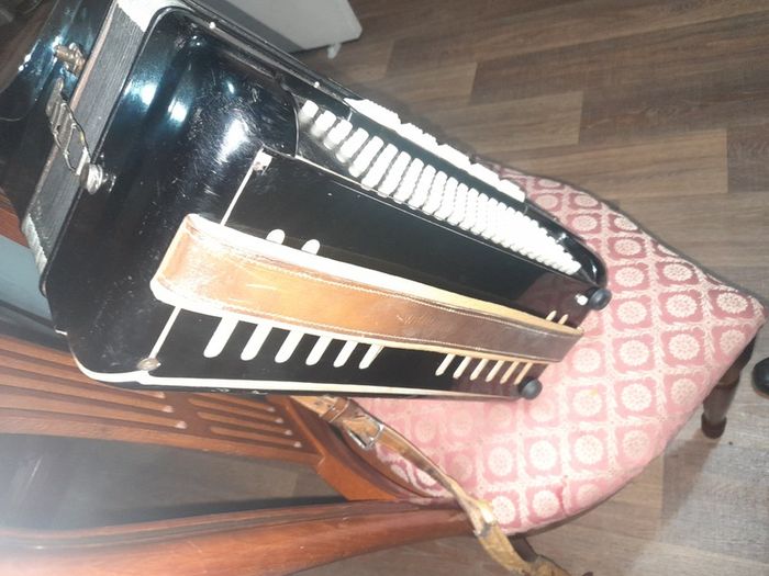 Rare Old Weltmeister Bass Accordion 1960s With Case