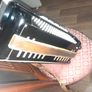 Rare Old Weltmeister Bass Accordion 1960s With Case Image 6